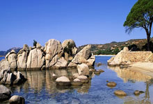 上吧主公兑换码