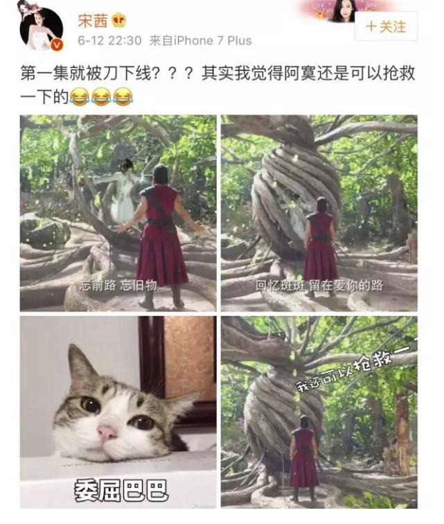 上古情歌獙獙_上古情歌_上古情歌是什么小说改编的